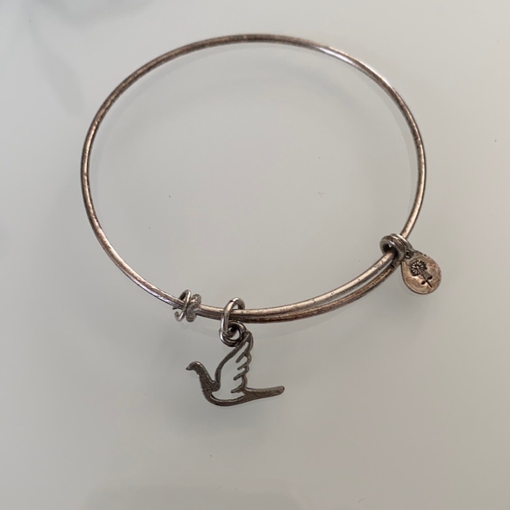 Alex and Ani Dove